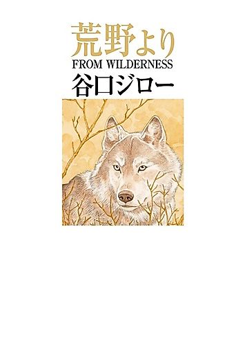 Cover image for From Wilderness