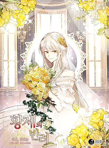 Cover image for The Emperor's Partner
