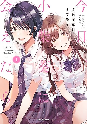 Cover image for Chasing After Aoi Koshiba