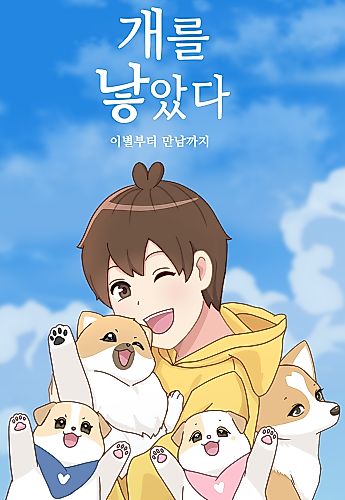 Cover image for The Dog Diaries