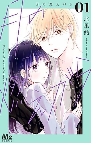 Cover image for Moon Cinders