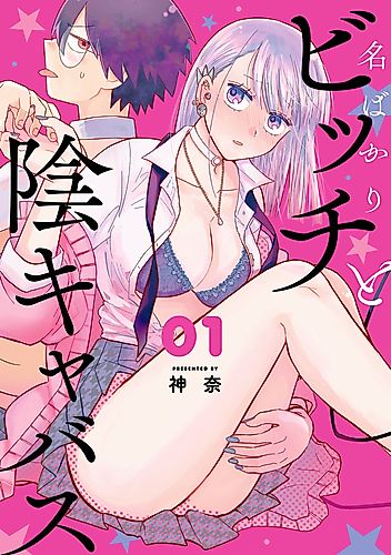 Cover image for Nabakari Bitch to Incubus