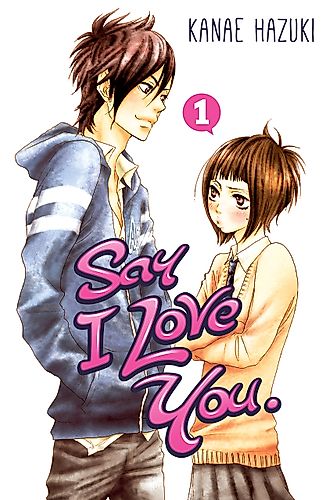 Cover image for Say I Love You.
