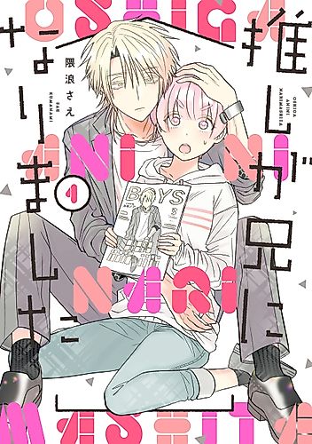 Cover image for From Superfan to Stepsister