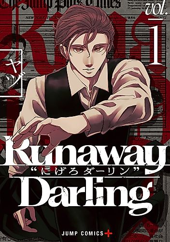 Cover image for Darling's Vanishing Act