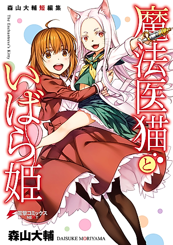Cover image for The Enchantress's Kitty