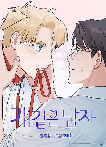 Cover image for Man's Best Boyfriend
