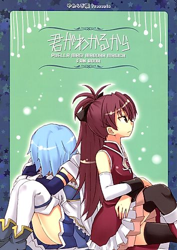 Cover image for Because I Understand You: Puella Madoka Magica Fan Book
