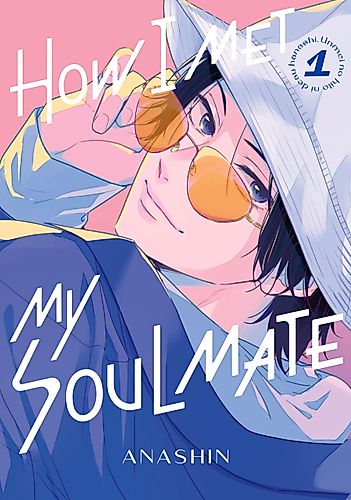 Cover image for How I Met My Soulmate