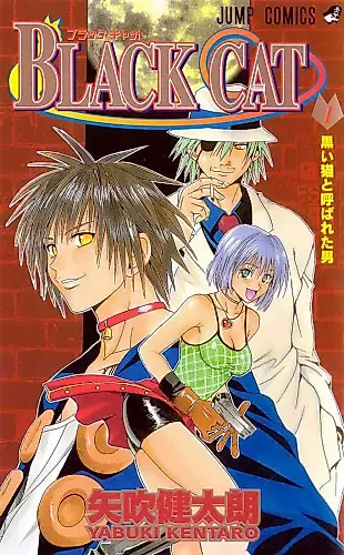 Cover image for Black Cat