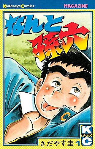Cover image for The Pitcher