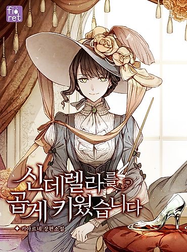 Cover image for A Wicked Tale of Cinderella's Stepmom