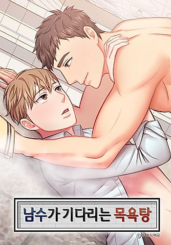 Cover image for Following Namsoo to the Bathhouse