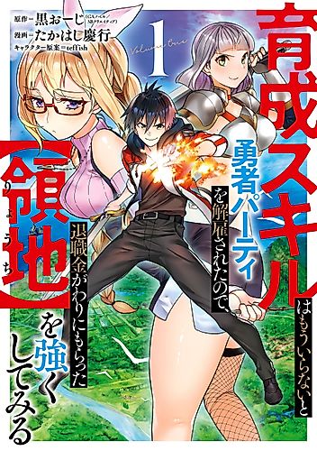 Cover image for From Leveling Up the Hero to Leveling Up a Nation