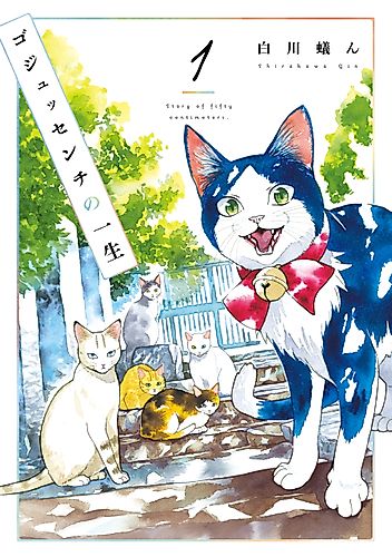 Cover image for A Story of Seven Lives