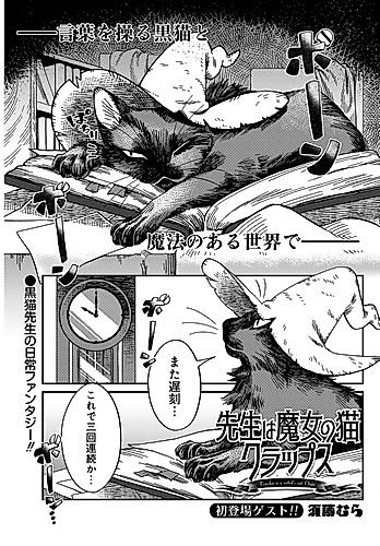 Cover image for Teacher Witch Cat Craps