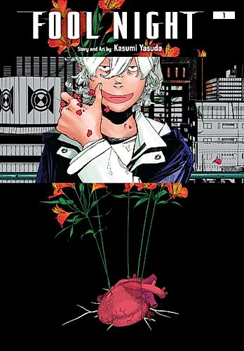 Cover image for Fool Night