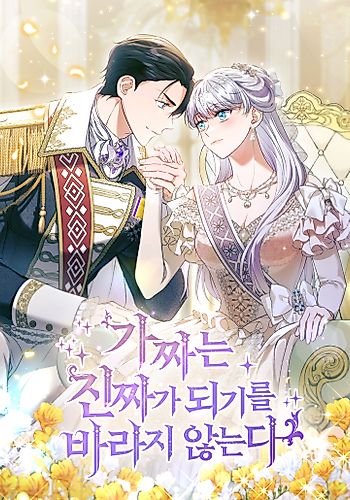 Cover image for The Fake Lady of House Silkisia