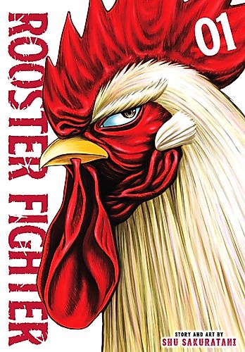 Cover image for Rooster Fighter
