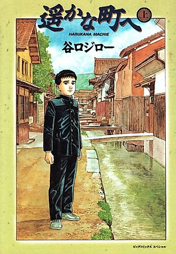 Cover image for A Distant Neighborhood