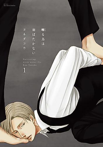 Cover image for Twittering Birds Never Fly