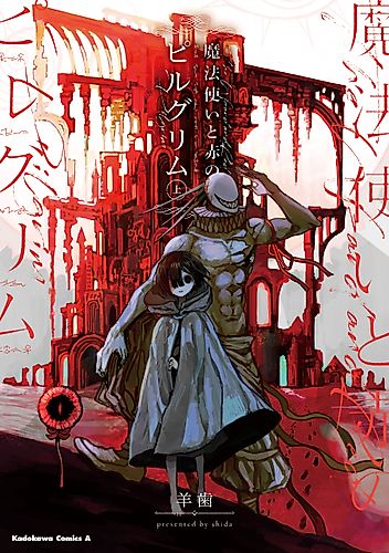 Cover image for Wizard and Red Pilgrim