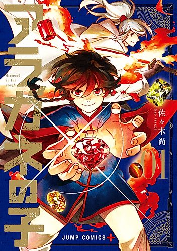 Cover image for Diamond in the Rough