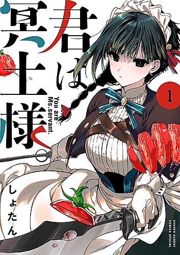 Cover image for You Are Ms. Servant.