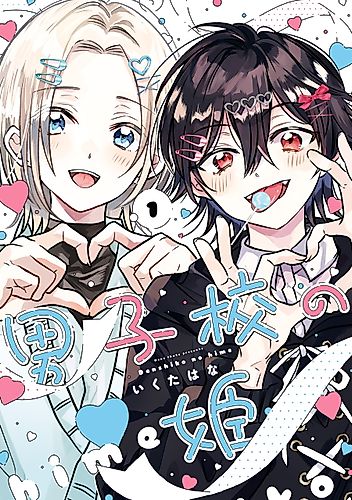 Cover image for The Princesses of the Boys' School