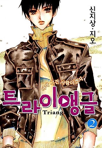 Cover image for Triangle