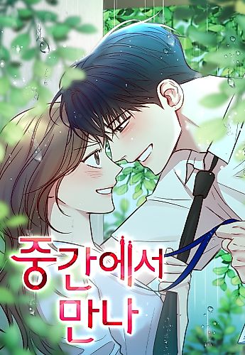 Cover image for Meet in the Middle