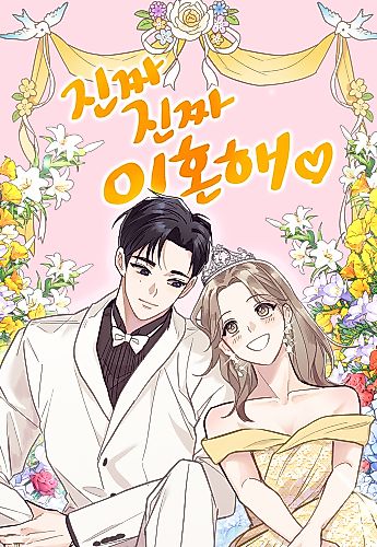 Cover image for Let's Get Divorced!
