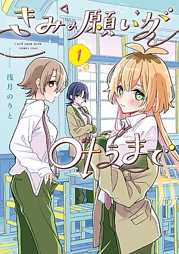 Cover image for Until Your Wish Comes True