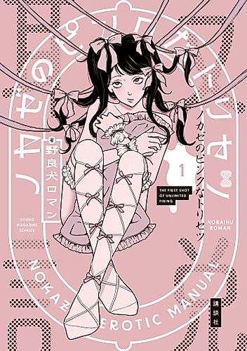 Cover image for Nokaze's Erotic Manual