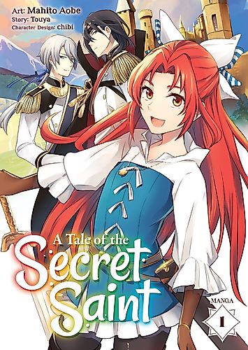Cover image for A Tale of the Secret Saint