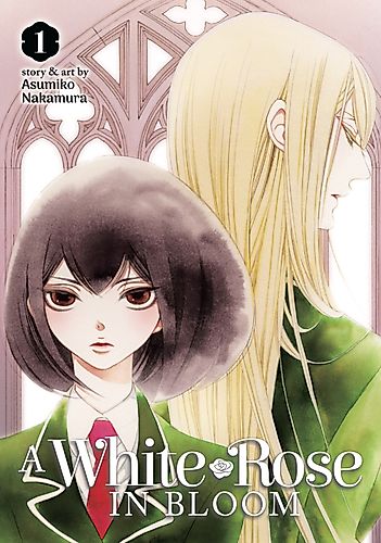 Cover image for A White Rose in Bloom
