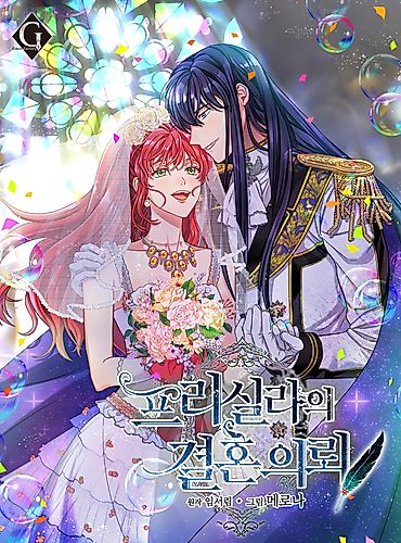 Cover image for Priscilla's Marriage Proposal