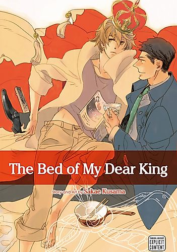 Cover image for The Bed of My Dear King