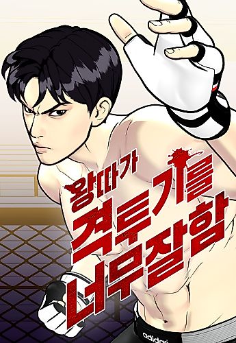 Cover image for The Outcast is a Fighter