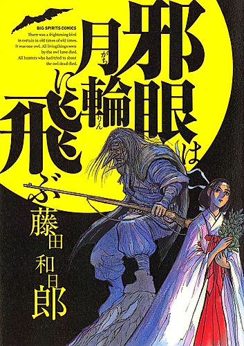Cover image for The Wicked Eye Flies to the Full Moon