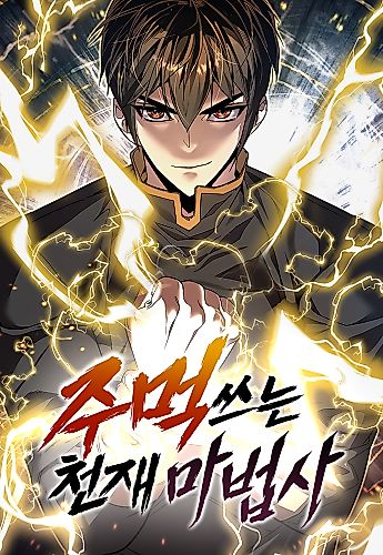 Cover image for The Fistfighting Genius Mage