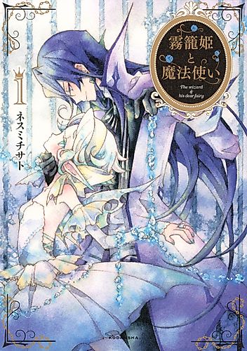Cover image for The Wizard and His Fairy