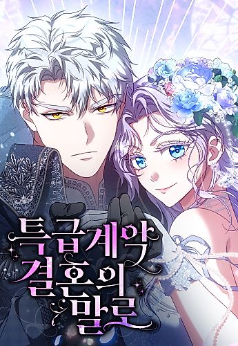 Cover image for Vows and Vendettas