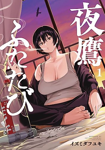 Cover image for Nighthawk Returns