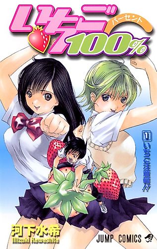 Cover image for Strawberry 100%