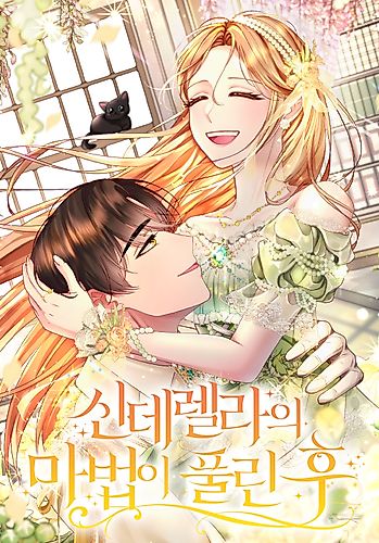 Cover image for When Cinderella's Magic Fades Away
