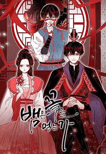 Cover image for The Snake and the Flower