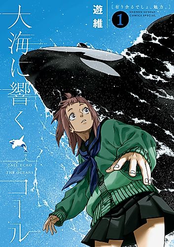Cover image for Call Echo in the Oceans