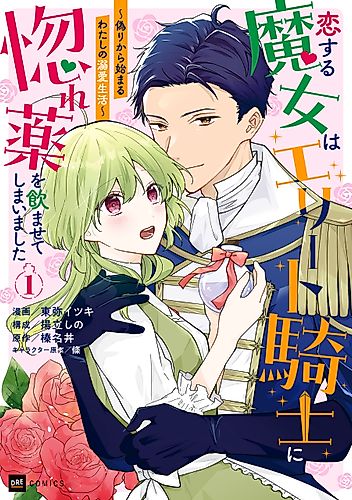 Cover image for Accidentally in Love: The Witch, the Knight, and the Love Potion Slipup