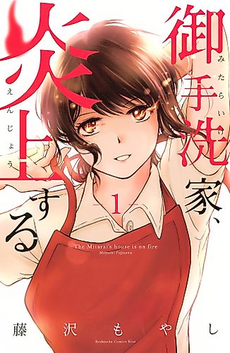 Cover image for Burn the House Down